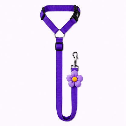 PawSecure™ 2-in-1 Car Safety Leash
