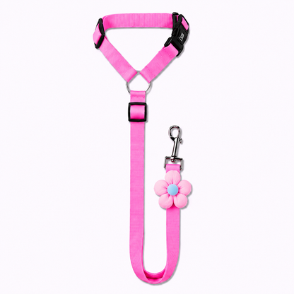 PawSecure™ 2-in-1 Car Safety Leash
