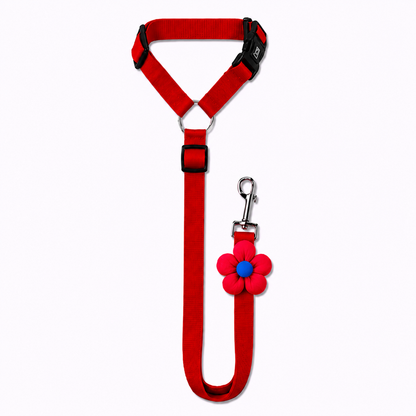 PawSecure™ 2-in-1 Car Safety Leash
