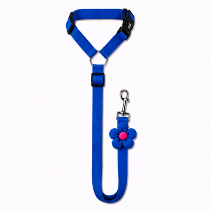 PawSecure™ 2-in-1 Car Safety Leash