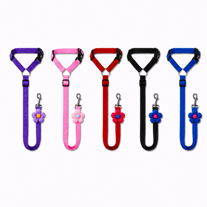 PawSecure™ 2-in-1 Car Safety Leash