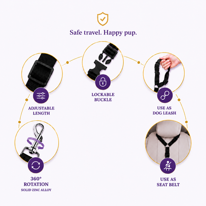 PawSecure™ 2-in-1 Car Safety Leash